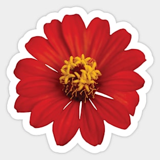 Red Flower Sticker